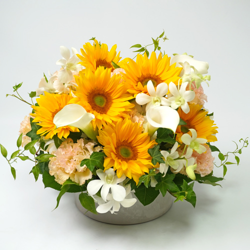 お見舞い 退院祝い 快気祝い 花を贈るときのタブーとマナー 青山花茂blog