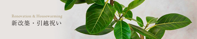 観葉植物の画像